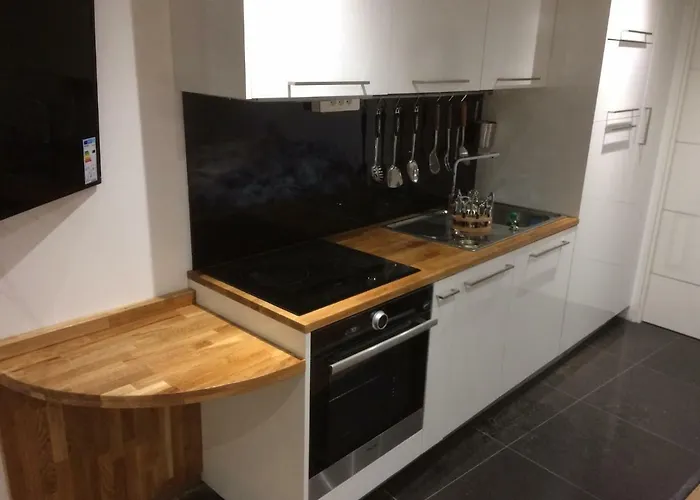 La Petite Barque Appartement Menton